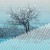 Buy Winter Storm