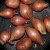 Purchase Fried Shallots Mp3