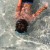 Buy Prodigal Summer (EP)