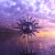 Purchase Rise Of The Wise Mp3