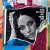 Buy Amy Macdonald 