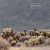 Buy Robert Henke Signal To Noise, Vol. II 