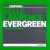 Buy Evergreen (Single)