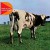 Buy Atom Heart Mother (Remastered)