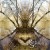 Buy Radical Symmetry