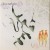 Buy Elephant Reveries