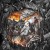 Buy Winds Of Wrath