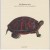 Purchase Song For Tracy The Turtle: Live At Jazz Brugge 2004 Mp3