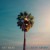 Buy Sun In California (Deluxe Edition)
