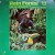 Purchase Rain Forest (Vinyl) Mp3