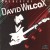 Buy The Best Of David Wilcox