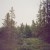 Purchase Autumn Bells Mp3