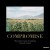 Buy Compromise (CDS)