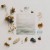 Purchase Equilibria Mp3