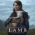 Purchase Lamb