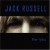 Buy Jack Russell 