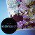 Buy Moonflower (CDS)