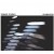 Purchase Chameleon Mp3