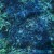 Buy Luminescent Creatures
