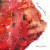 Buy Better If You Let It (Feat. Jawwaad Taylor, Stefan González, Jason Jackson, Jonathan F Horne, Frank Rosaly & Ingebrigt Håker Flaten)
