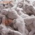 Purchase Le Pavillon Des Passions Humaines Mp3