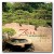 Purchase Zen Relaxation Mp3