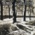 Buy Ultra-Rural (Split With Baise Ma Hache)