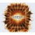 Purchase Away From The Sun (CDS) Mp3