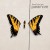 Purchase Brand New Eyes Mp3