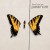 Buy Brand New Eyes