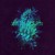Purchase All Glows Mp3