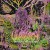 Buy Psychedelic Realms Ov Hell