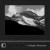Buy A Higher Mountain