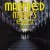 Purchase 40Th Anniversary (Glorified Magnified) CD2 Mp3
