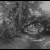 Purchase Misanthropic Euphoria Mp3