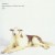 Purchase Chemistry Is What We Are Mp3