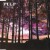 Purchase The Trees & Sunrise (CDS) Mp3