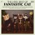 Purchase The Very Best Of Fantastic Cat Mp3