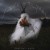 Purchase Precious Bane Mp3