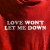 Buy Love Won't Let Me Down (cds)