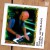 Buy "013" Tilburg, Netherlands 2001 (FRC-17) CD1