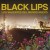 Buy Black Lips 