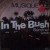 Buy In The Bush (VLS)