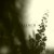 Buy Beyond Embers & The Earth (CDS)