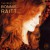 Buy The Best Of Bonnie Raitt
