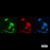 Buy Pronto (EP)