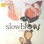 Purchase Slowblow Mp3