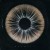Purchase Mandala (EP) Mp3
