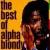 Buy Alpha Blondy 