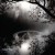 Purchase Carpe Nota Mp3